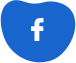 facebook-icon